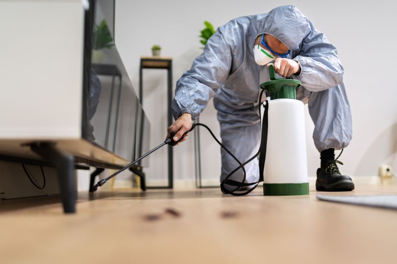 Spider Fumigation Service in Katy, TX