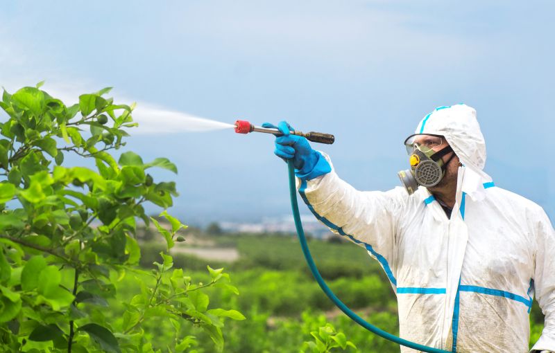 Spider Fumigation Service in Oklahoma City, OK